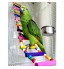 OEM - Parrot Colorful Climbing Ladder Toy 01
