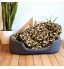 DODO - Pet Cats Mats Beds Pet Products Washable Blue