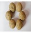 OEM - Natural Catnip Treat Ball Favor