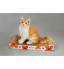 OEM - Pet Toys Scratching Post Interactive Orange