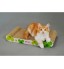OEM - Pet Toys Scratching Post Interactive Green