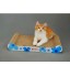 OEM - Pet Toys Scratching Post Interactive Blue